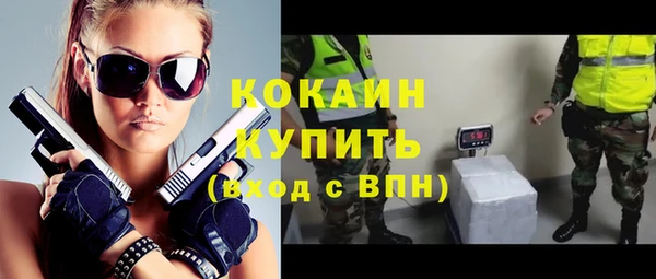 винт Каменка