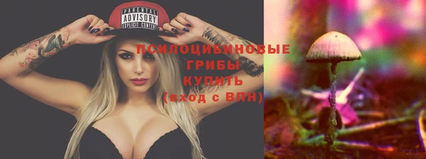 герыч Каменногорск