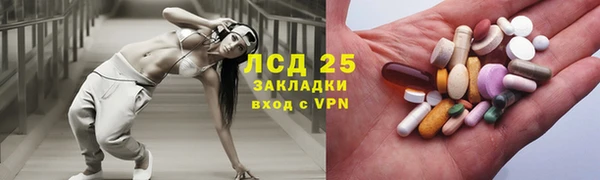 винт Каменка