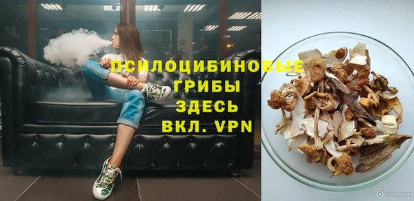 винт Каменка