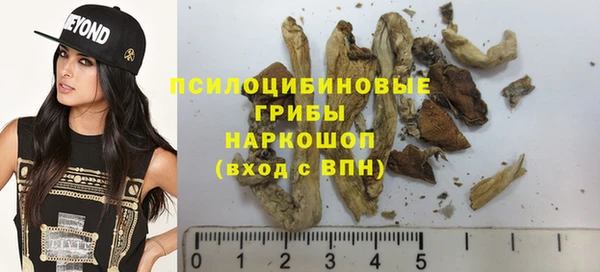 герыч Каменногорск
